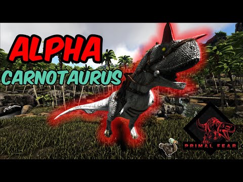 ARK PRIMAL FEAR #14 Domei o ALPHA CARNO