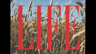 Johnny Hunter – “Life”