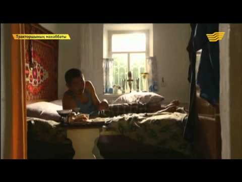 Тракторшының махаббаты (11-бөлім)