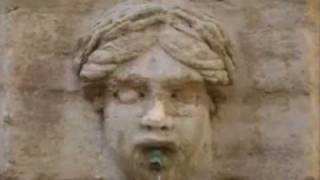 Birds of Passage by Bel Canto.