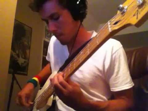 Descendents- It's a Hectic World Bass Cover