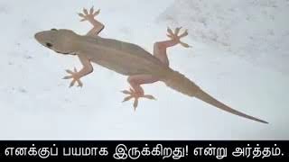 Download lagu Ennaga enjal enna artham parunga mp3