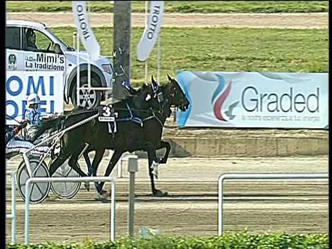 Trotto 21/04/2017 - 5ª corsa
