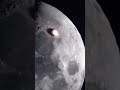 Live Nasa Telescope Footage Asteroid Hitting Moon Nasa Moon Telescope Asteroid