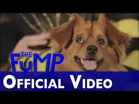 Worm Quartet - "Entire Dog" [The FuMP Official Music Video]