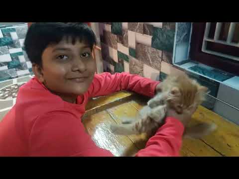 ashraf arshiya with cat game tiruvuru 2023