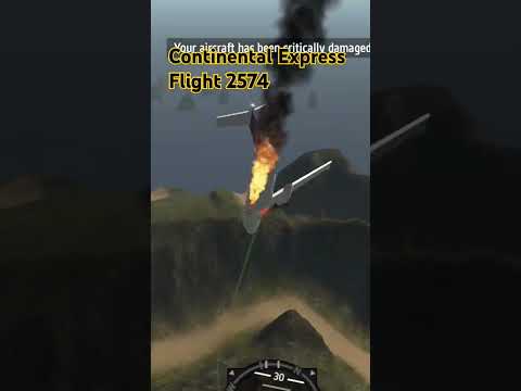 Continental Express Flight 2574 Crash