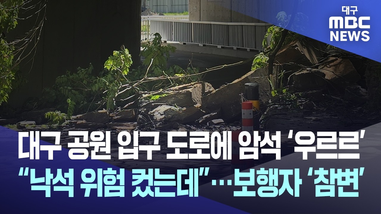 대구 지하차도서 암석 우르르... 평화롭던 산책길이 순식간에 참변으로