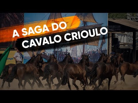 Espetáculo de Abertura - A Saga do Cavalo Crioulo  (Final do Freio de Ouro 2019 - Esteio/RS)