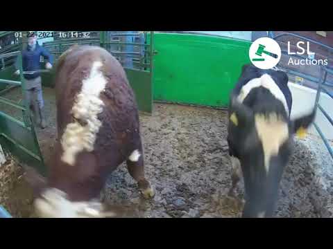 Tipperary Lot 940 22-01-2021