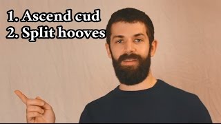 Video: In Leviticus 20:26, God forbids consuming Pig. As He has 'set the Jewish nation apart to be My own' - RTC