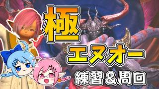 【LIVE】極エヌオー練習するぞぉ！！マクロはGame8！！part3【極】【羽】【FF14】