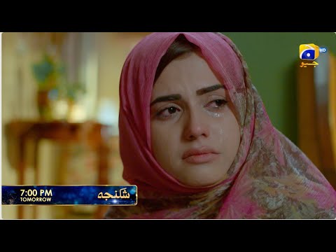 Shikanja Episode 30 Promo | Tomorrow at 7:00 PM only on Har Pal Geo