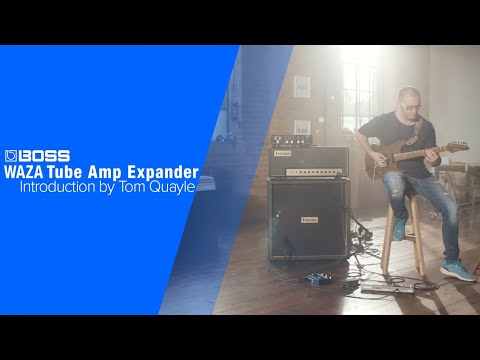 Boss Waza Tube Amp Expander 2019 - Present - Black image 5