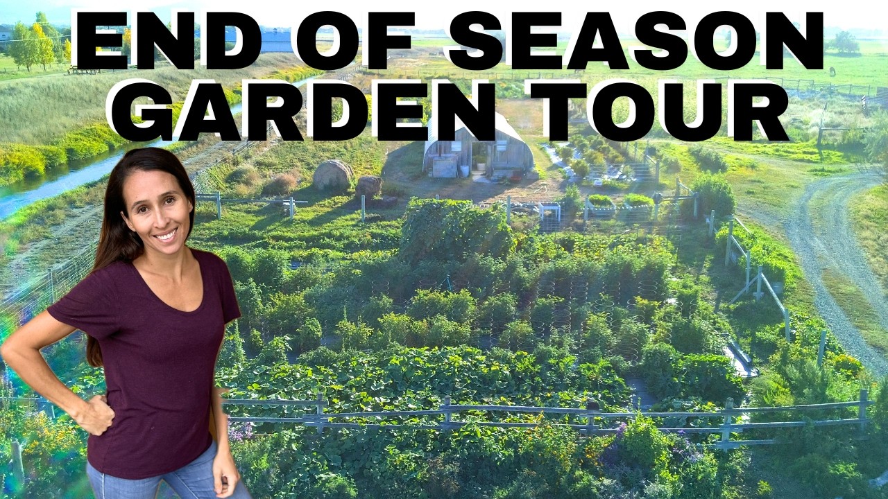 Summer Solstice Farm Dinner