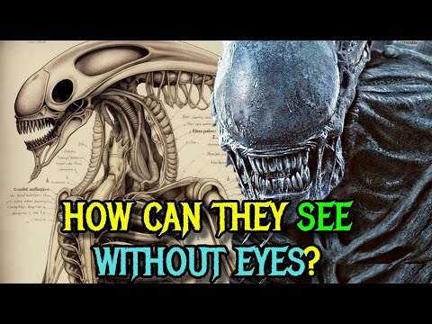 Xenomorph Detailed Anatomy Explored - How Can They See Without The Eyes? Self-Destruct Mechanism?