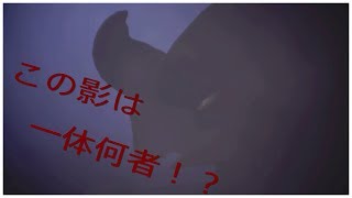 MHW生配信~狩りもコメントも~みんなで一狩り行こうぜ♪