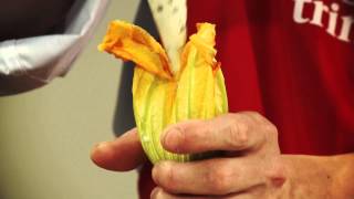 Gefüllte Zucchiniblüten