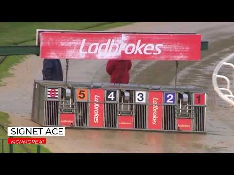 Signet Ace - 18th June 2020