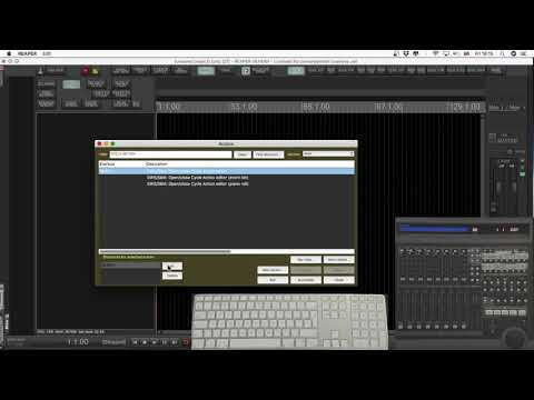 CUSTOM ACTIONS: 5 Cycle action editor - hotkey