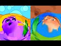 Sunny Bunnies Intro Amazing Stretch And Colors Effects And Overlay