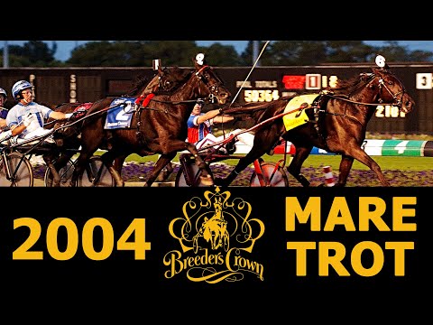 2004 Breeders Crown - Armbro Affair - Mare Trot