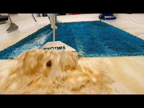 Snug As a Bug In This Cat Pee Rug! Carpet Cleaning Satisfying ASMR Rug Washing