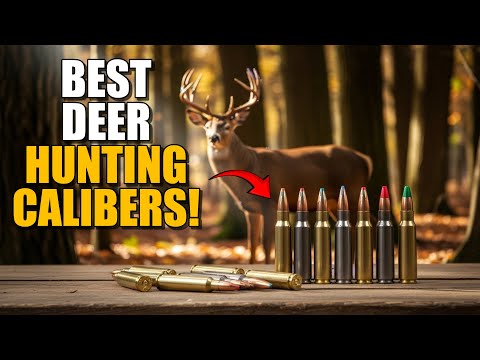 I Asked 100 Deer Guides What the Best Mule Deer Cartridge Is — The Winner Shocked Me!