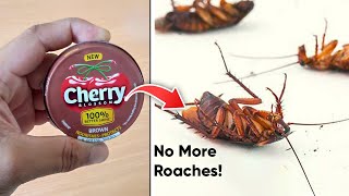 MAGICAL TRICK "SHOE POLISH" | HOW TO GET RID OF ROACHES OVERNIGHT | KILL COCKROACH IN 10 MINUTES