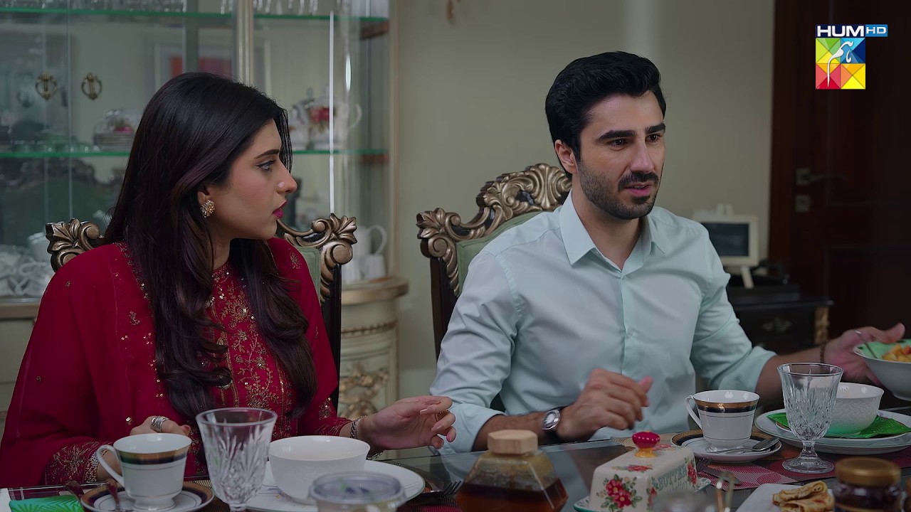 Tumhari Behan Beemar Nahi Pagal Hai | #nabeelzuberi #minsamalik #Hadd #HUMTV