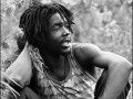 Peter Tosh - Wanted Dread or Alive (Pineapple Express Soundtrack)