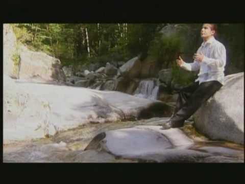 Petko Zahariev - Koga tragna Cveto