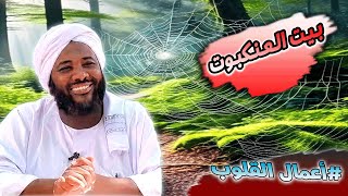 محمد سيد حاج - بيت العنكبوت - #أعمال_القلوب #محمد_سيد_حاج image