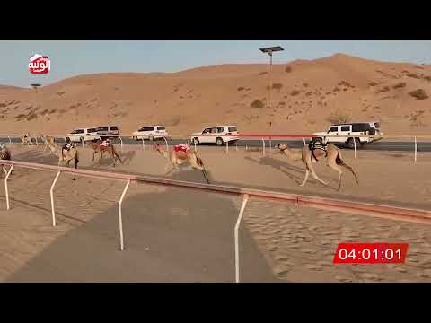 الشوط 5 (في) لـ أحمد مطر ماجد الخييلي 8:08 , شارة الديوان 2025/10/26 ايذاع اللبسه 