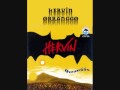 Hervin Himaya Malleh