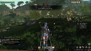 ArcheAgeやるよー