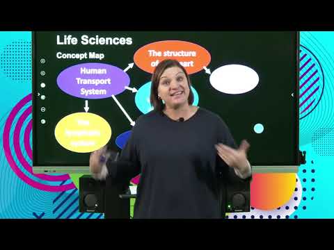Life Sciences Grd 10 The Human Transport System: Revision