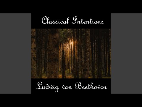 Symphony No- 2 in D Major, Op- 36 III- Scherzo- Allegro