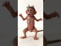 Cute little baby monkey #cute #baby #monkey #viralvideo