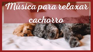 Msica RELAXANTE para ACALMAR cachorro -  SINOS SUAVES E PASSROS - RELAXING music to SOOTH the dog
