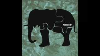 Cyne - Maintain