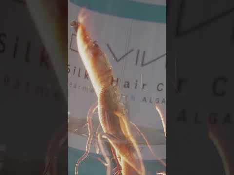 video-thumbnail-0