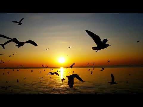 Daha Hafif ve Mutlu Bir Hayat İcin Sorular Sorun