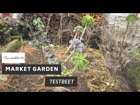 Market Garden Testbeete | Am Permakultur Hof Sehl (2020)