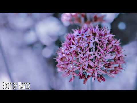 MAHLIGAI SYAHDU - HATTAN