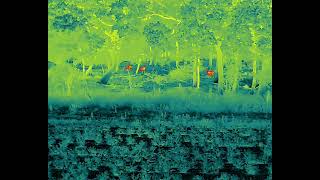 DJI Matrice 4T Thermal Drone Fallow Grazing in the wood!