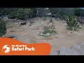 Elephants Form Alert Circle In Response To Earthquake At San Diego Zoo Safari Park