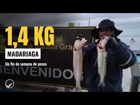 Pejerrey de 1,4 kg en la Salada Grande: así es un fin de semana de pesca en Madariaga