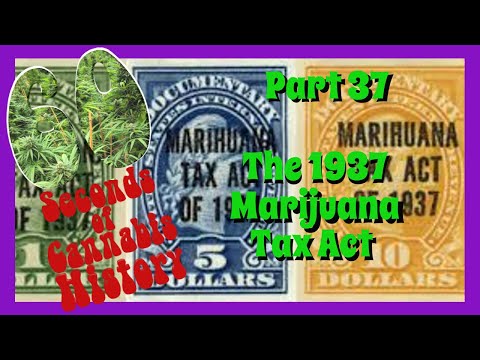 60 Seconds of Cannabis History: Part 37 - The 1937 Marijuana Tax Act