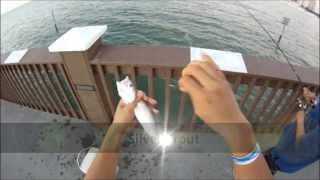 preview picture of video 'Clearwater Beach Fishing Pier on Florida's West Coast (Whiting and Silver Trout) GoPro'